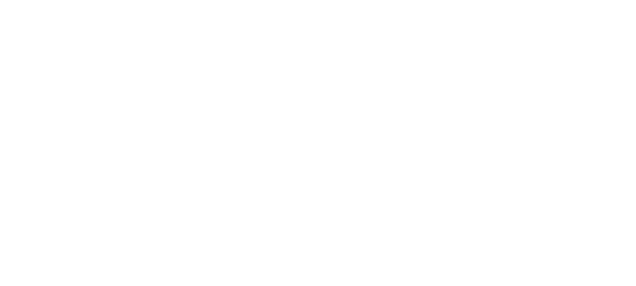 Play It Again Sports logo